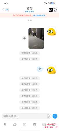 避雷嘉禾花花