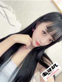 珠海香洲小猫