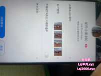 龙归小麦验证